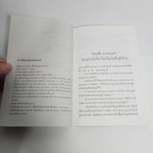 อุทกภัย - รัตนชัย มานะบุตร รูปที่ 10