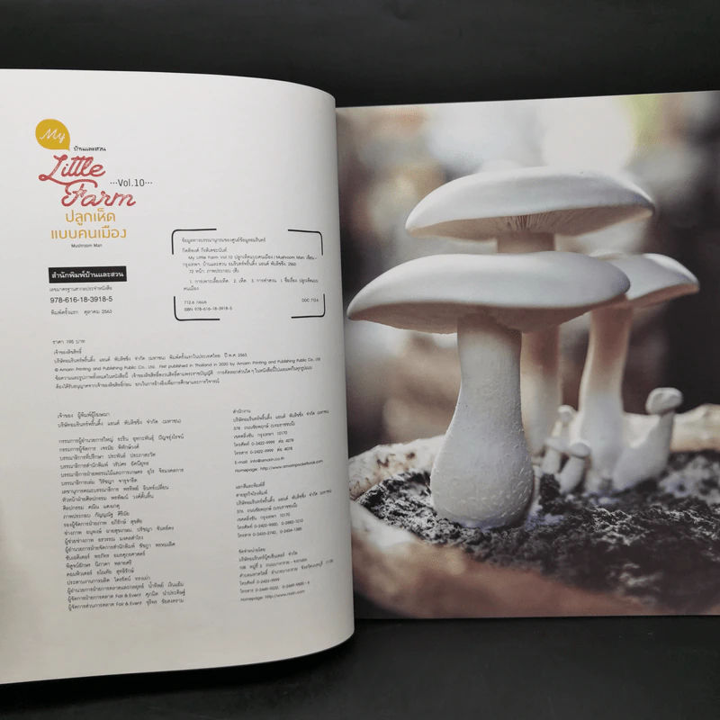 My Little Farm Vol.10 ปลูกเห็ดแบบคนเมือง - Mushroom Man รูปที่ 8