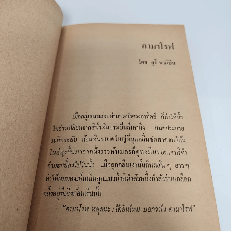 วัยสีขาว - เหนือ รูปที่ 8