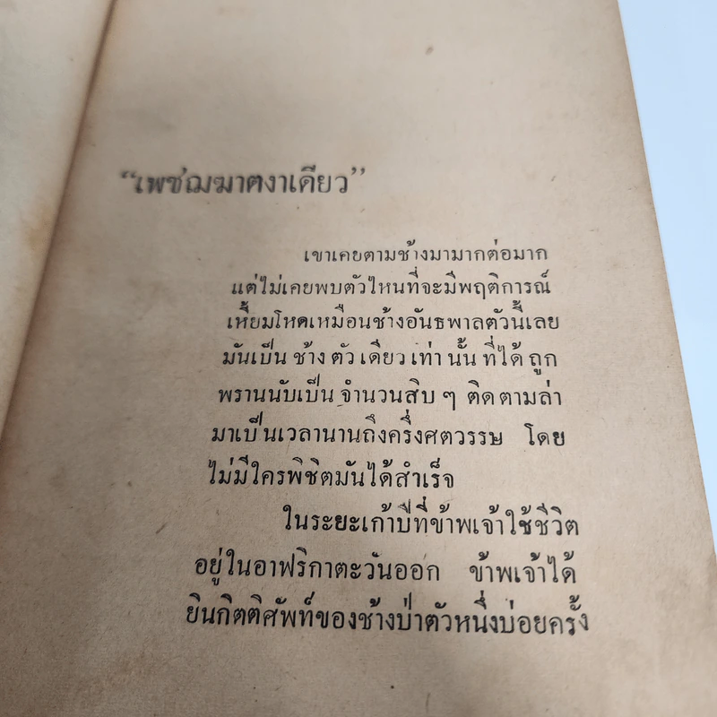 เพชฌฆาตงาเดียว - Alden G. Stevens, ชาลี เอี่ยมกระสินธุ์ รูปที่ 10