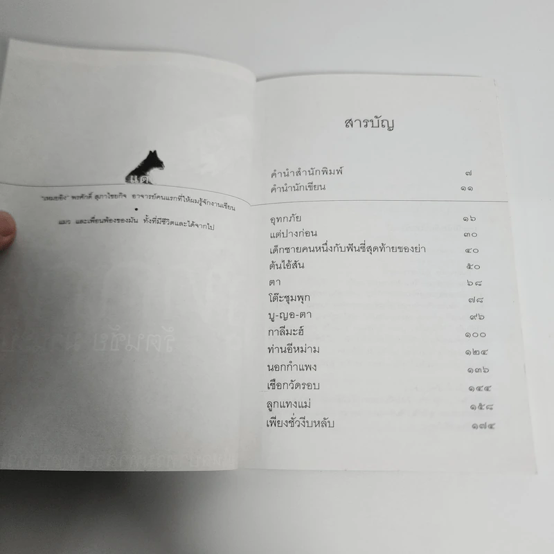 อุทกภัย - รัตนชัย มานะบุตร รูปที่ 9