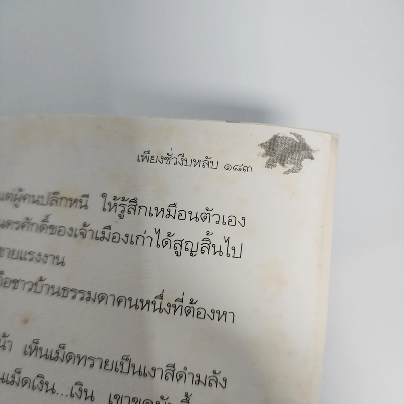 อุทกภัย - รัตนชัย มานะบุตร รูปที่ 12