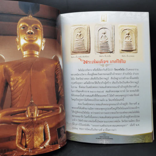 เปิดตำนาน พุทธาคม พระสมเด็จและพระผงยอดนิยม รูปที่ 16