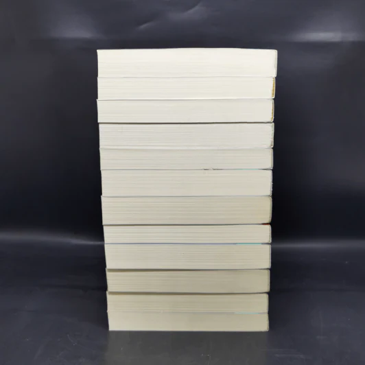 เคหาสน์รัตติกาล ชุด BOX SET 12 เล่มจบ - พี.ซี. คาสต์, คริสติน คาสต์ รูปที่ 9