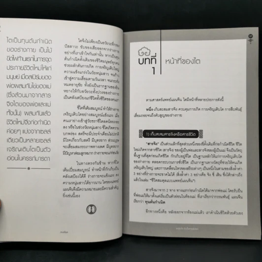 ถนอมไต ยับยั้งสารพัดโรค - หมอไพร รูปที่ 12