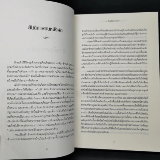 ในฐานะพลเมืองโลก ผู้รักสันติภาพ - สาธุคุณซันเมียง มูน รูปที่ 11