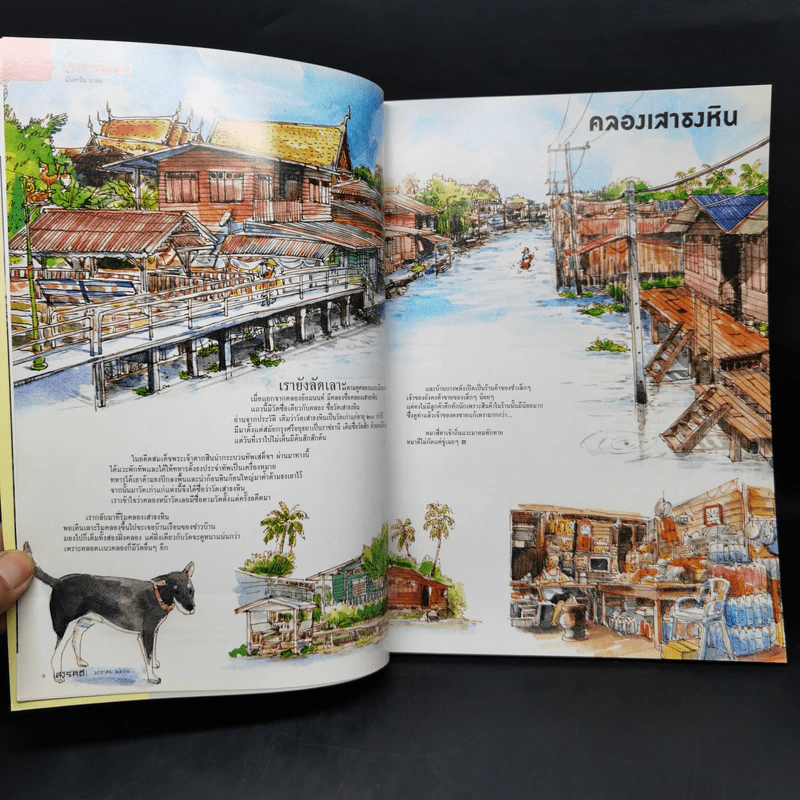 สารคดี ปีที่ 32 ฉบับที่ 383 ม.ค.2560 ขนมเทศกาลจีน รูปที่ 9