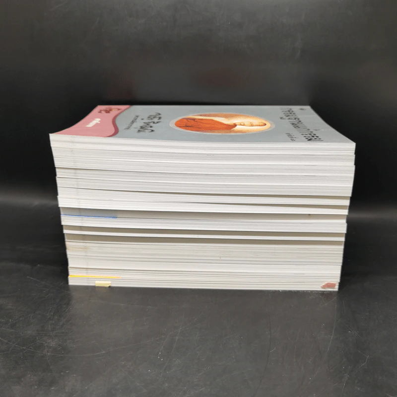 Boxset กรรมฐานแก้กรรม 16 เล่ม - จรัญ ฐิตธมโม รูปที่ 8