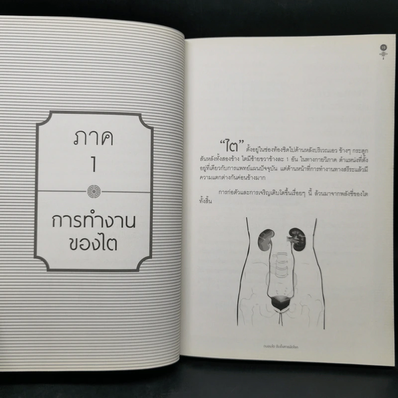 ถนอมไต ยับยั้งสารพัดโรค - หมอไพร รูปที่ 11