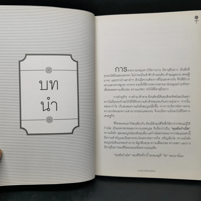 ถนอมไต ยับยั้งสารพัดโรค - หมอไพร รูปที่ 10