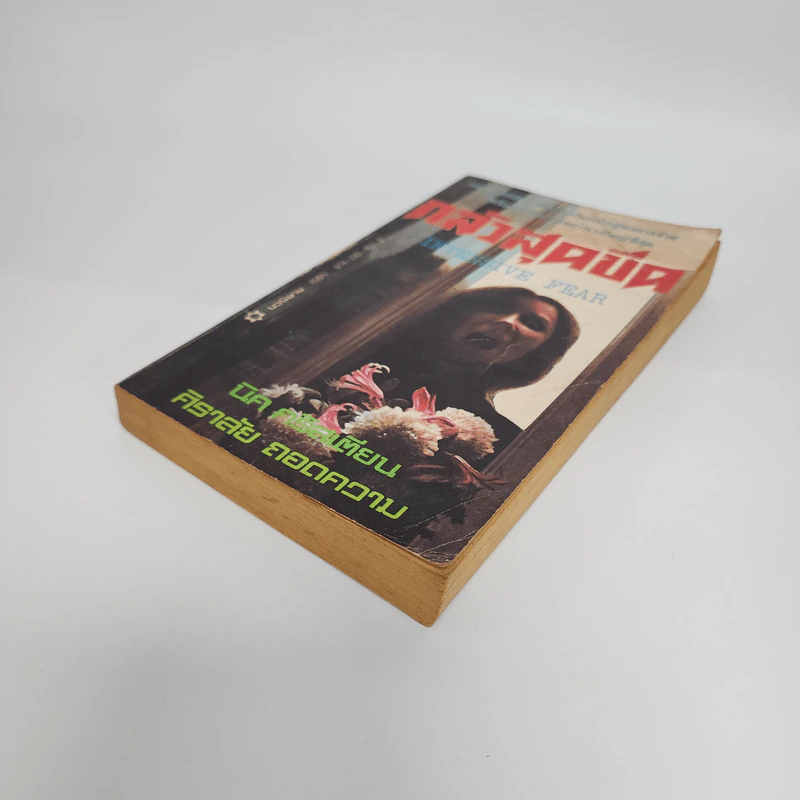 กลัวสุดขีด Intensive Fear - นิค คริสเตียน, ศิราลัย รูปที่ 4