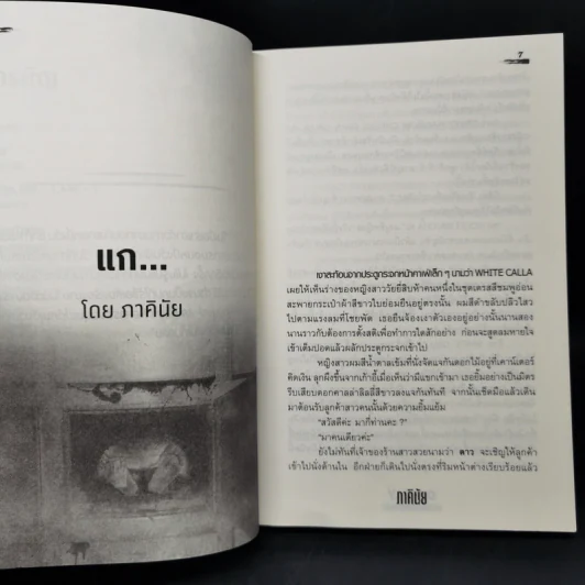 ONE DAY หนึ่งวันก่อนฉันตาย (อีกครั้ง) - รวมนักเขียน Sofa Publishing รูปที่ 10