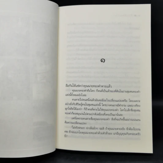 รักเลี่ยมทอง - ดวงตะวัน รูปที่ 9