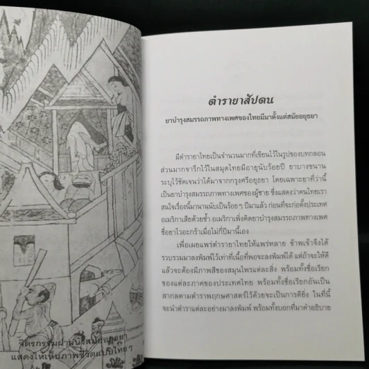 ตำรายาสัปดน - เพชร พุมเรียง รูปที่ 12