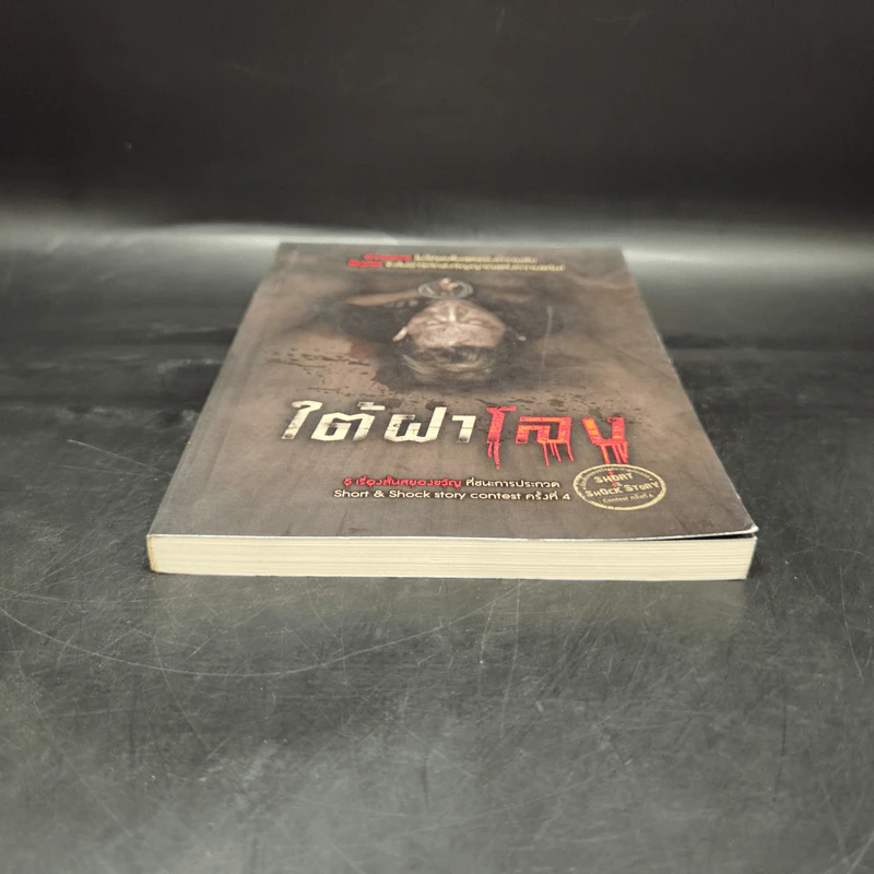 ใต้ฝาโลง - รวมนักเขียน รูปที่ 4