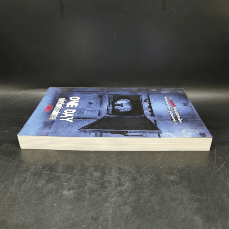 ONE DAY หนึ่งวันก่อนฉันตาย (อีกครั้ง) - รวมนักเขียน Sofa Publishing รูปที่ 5