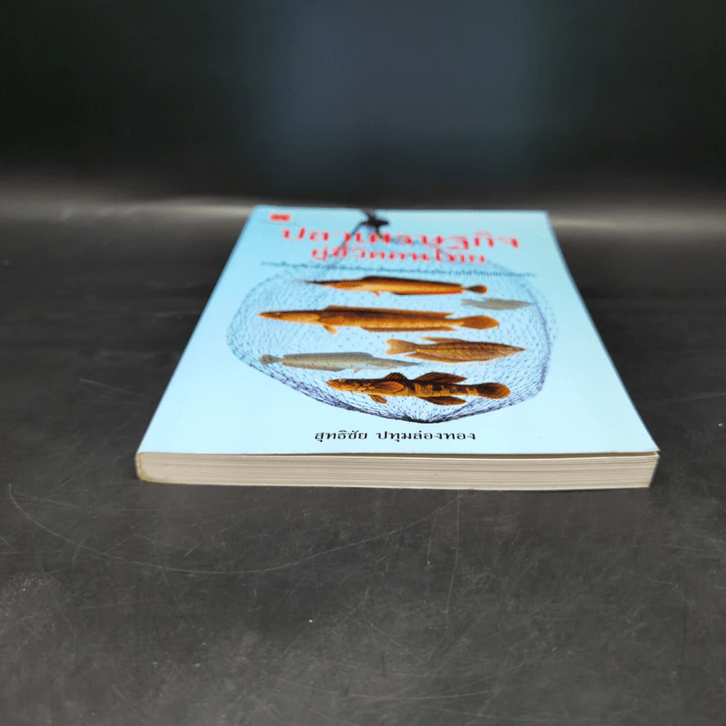 ปลาเศรษฐกิจ คู่ชีวิตคนไทย - สุทธิชัย ปทุมล่องทอง รูปที่ 4