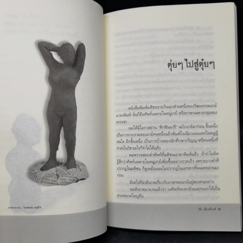 ว่าด้วยเพศ : ความคิด ตัวตน และอคติทางเพศ ผู้หญิง เกย์ เพศศึกษาและกามารมณ์ - นิธิ เอียวศรีวงศ์ รูปที่ 10