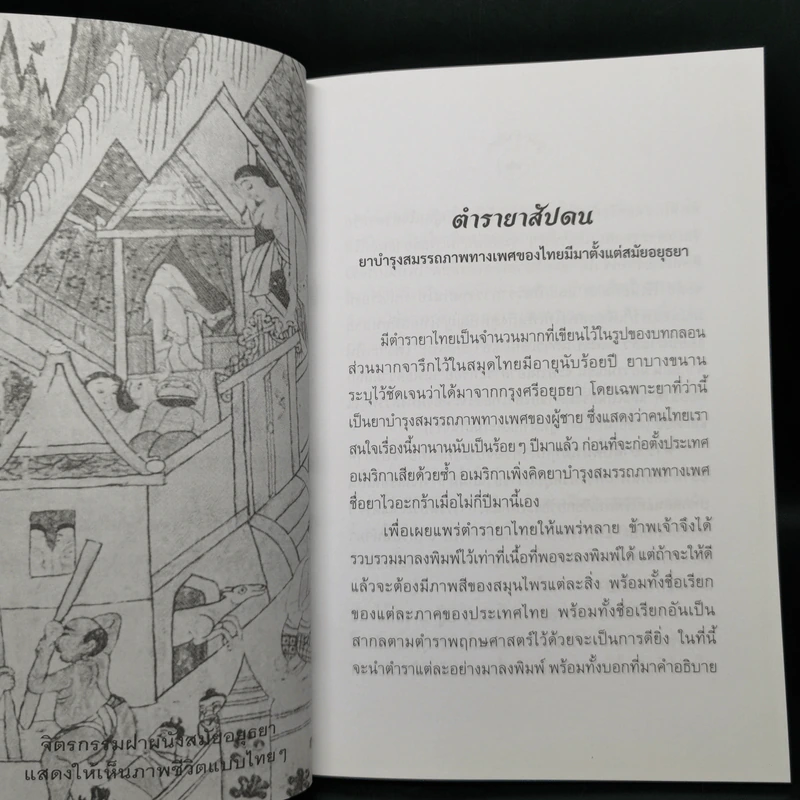 ตำรายาสัปดน - เพชร พุมเรียง รูปที่ 12