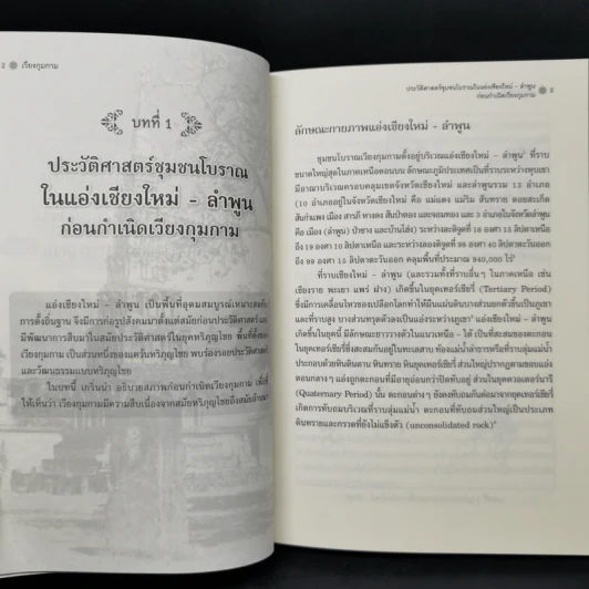 เวียงกุมกาม : การศึกษาประวัติศาสตร์ชุมชนโบราณในล้านนา - ศาสตราจารย์เกียรติคุณ สรัสวดี อ๋องสกุล รูปที่ 10