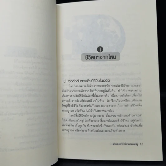 ชีวิตที่มองไม่เห็นด้วยตาเปล่า - ประภาศรี เทียนประเสริฐ รูปที่ 9