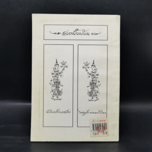 สายฟ้าฟาด - ไพฑูรย์ พรหมวิจิตร รูปที่ 2