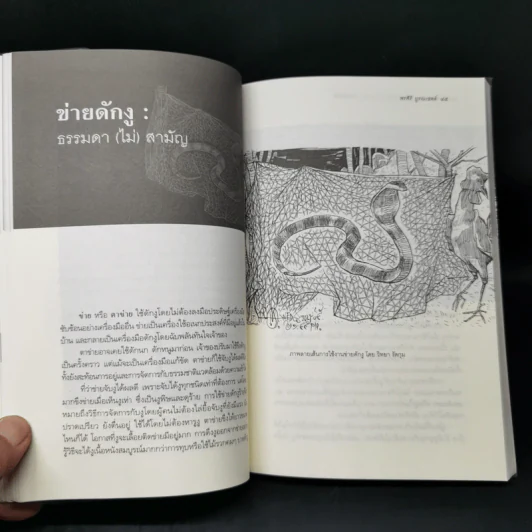 กับดักวิถี - พรศิริ บูรณเขตต์ รูปที่ 12
