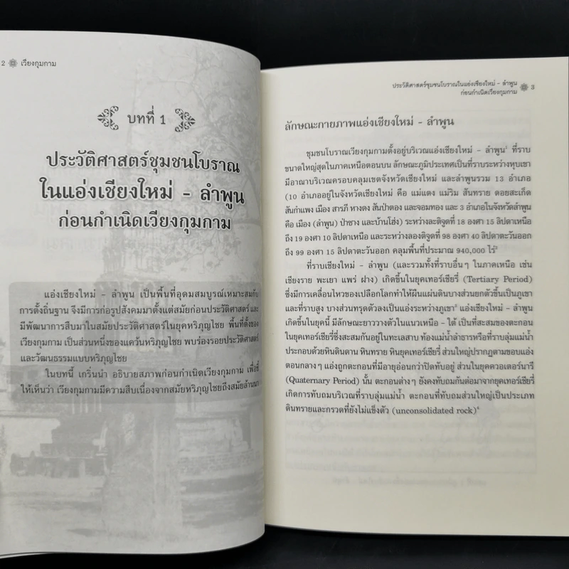 เวียงกุมกาม : การศึกษาประวัติศาสตร์ชุมชนโบราณในล้านนา - ศาสตราจารย์เกียรติคุณ สรัสวดี อ๋องสกุล รูปที่ 10
