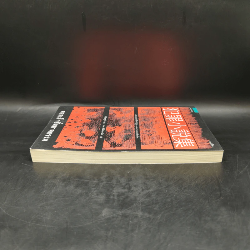 คอลเล็กชั่นฆาตกรรม - โยชิดะ ชูอิชิ (Shuichi Yoshida) รูปที่ 5
