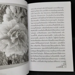 อยากเล่าเรื่อง ม.ล.หญิง จิตติ นพวงศ์ - พวงเพ็ชร เดชะประทุมวัน รูปที่ 10