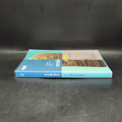 ทวารวดีในอีสาน - รุ่งโรจน์ ธรรมรุ่งเรือง รูปที่ 3