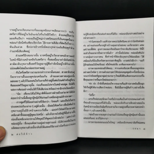สะใภ้จ้าว - รจนา รูปที่ 10