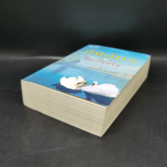 ในเรือนใจ - กิ่งฉัตร รูปที่ 7