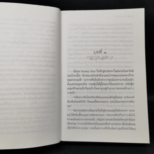 ลำเนาลม - กิ่งฉัตร รูปที่ 8