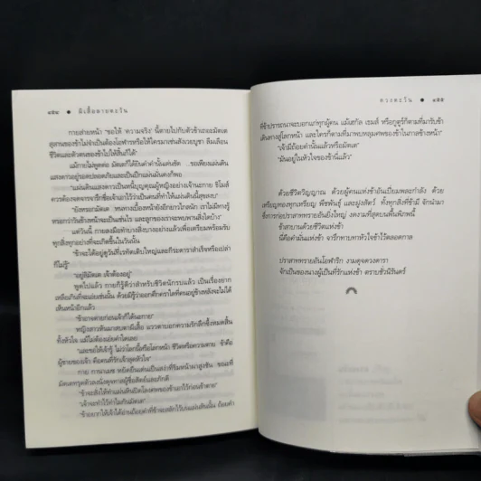 ผีเสื้อลายตะวัน - ดวงตะวัน รูปที่ 11