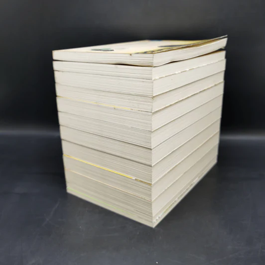 Box Set บ้านเล็กในป่าใหญ่ ฉบับสมบูรณ์ครบ 12 เล่ม - ลอร่า อิงกัลส์ ไวล์เดอร์ ฯลฯ รูปที่ 9