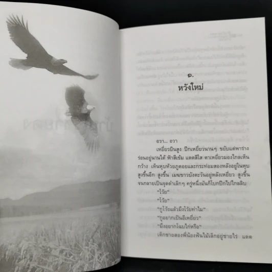 บ้านไร่ชายดง - มาลา คำจันทร์ รูปที่ 11