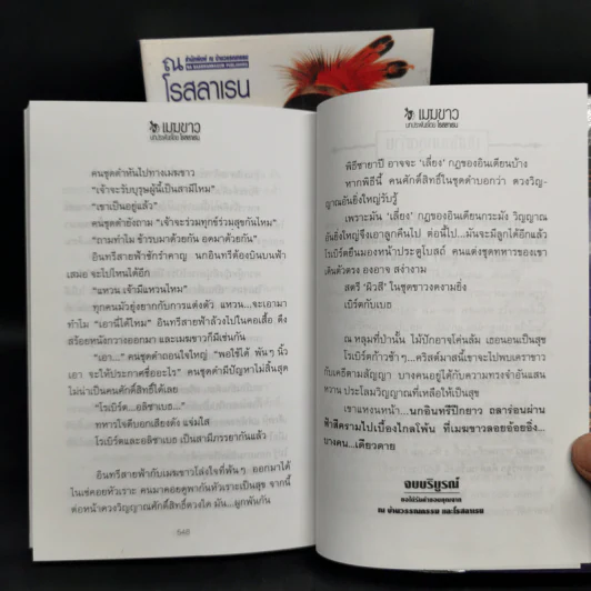 เมฆขาว 2 เล่มจบ - โรสลาเรน รูปที่ 11