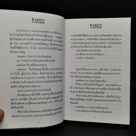 เมฆขาว 2 เล่มจบ - โรสลาเรน รูปที่ 9