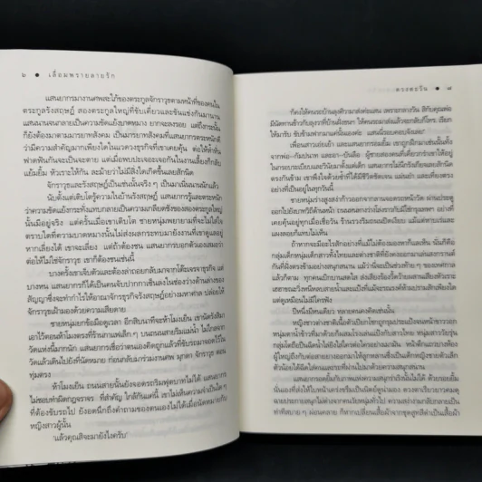 เลื่อมพรายลายรัก - ดวงตะวัน รูปที่ 10