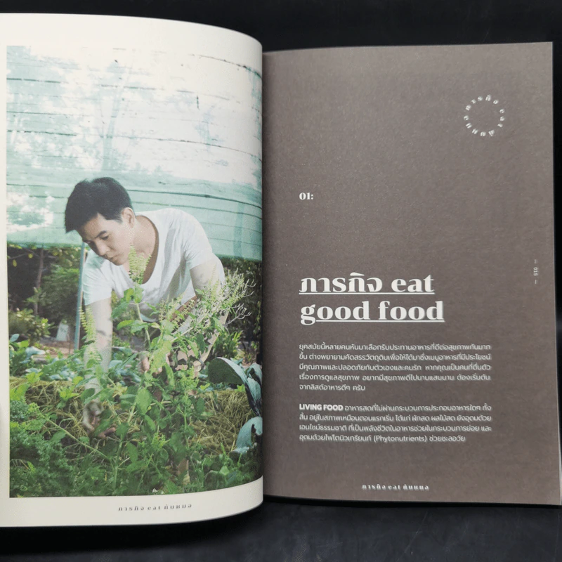 ภารกิจ Eat กับหมอ - นพ.ไพศิษฐ์ ตระกูลก้องสมุท (หมอหนุ่ม) รูปที่ 10