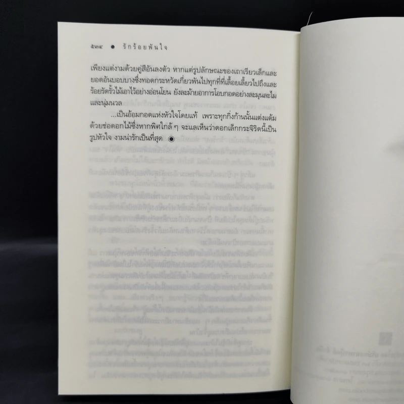 รักร้อยพันใจ - ดวงตะวัน รูปที่ 11