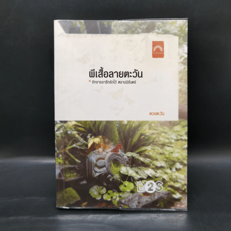ผีเสื้อลายตะวัน - ดวงตะวัน รูปที่ 1