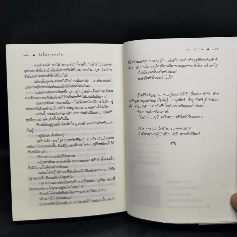 ผีเสื้อลายตะวัน - ดวงตะวัน รูปที่ 11