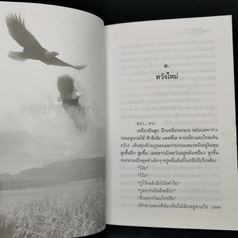 บ้านไร่ชายดง - มาลา คำจันทร์ รูปที่ 11