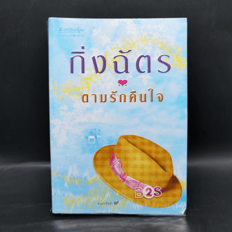 ตามรักคืนใจ - กิ่งฉัตร รูปที่ 1