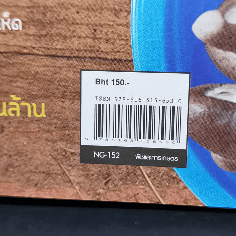 เพาะเห็ดกินได้ ทำขายรวย - สมาคมนักวิจัยและเพาะเห็ดแห่งประเทศไทย รูปที่ 11