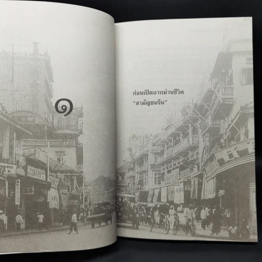 กบฏจีนจน บนนถนนพลับพลาไชย - สิทธิเทพ เอกสิทธิพงษ์ รูปที่ 9