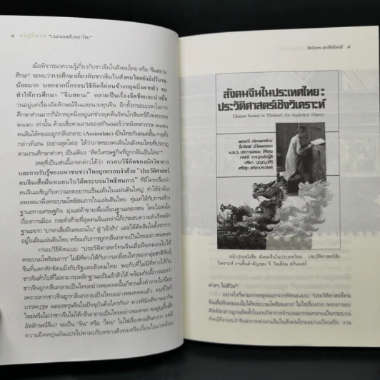 กบฏจีนจน บนนถนนพลับพลาไชย - สิทธิเทพ เอกสิทธิพงษ์ รูปที่ 10