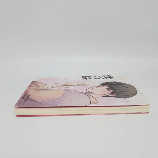 Seventeen Fiction - Kimople รูปที่ 4